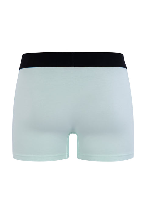 MINT BASIC TRUNKS